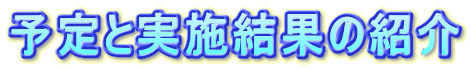 予定と実施結果の紹介 